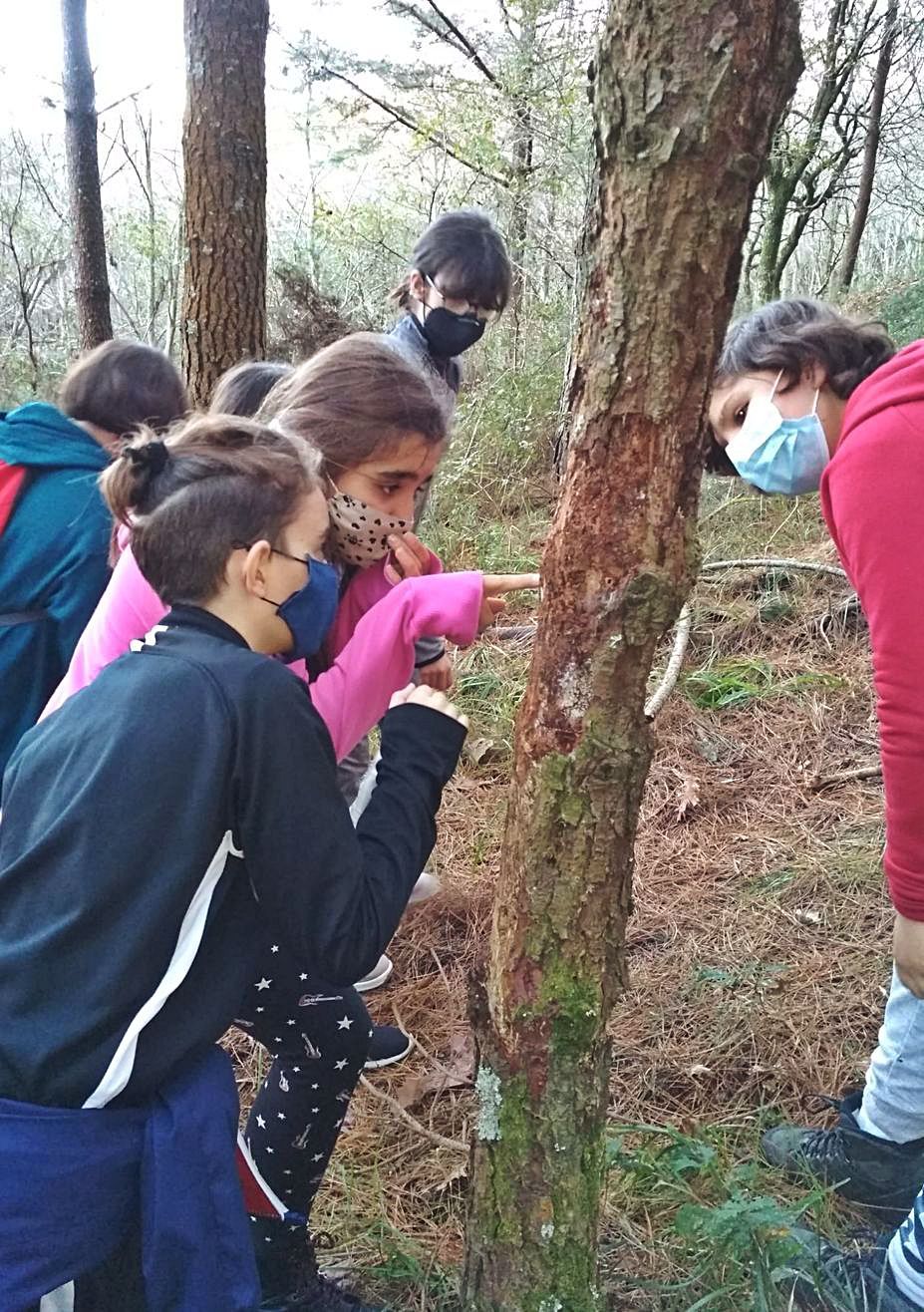 Estudiantes, analizando rastros de animales en el monte.   | AS BARXAS