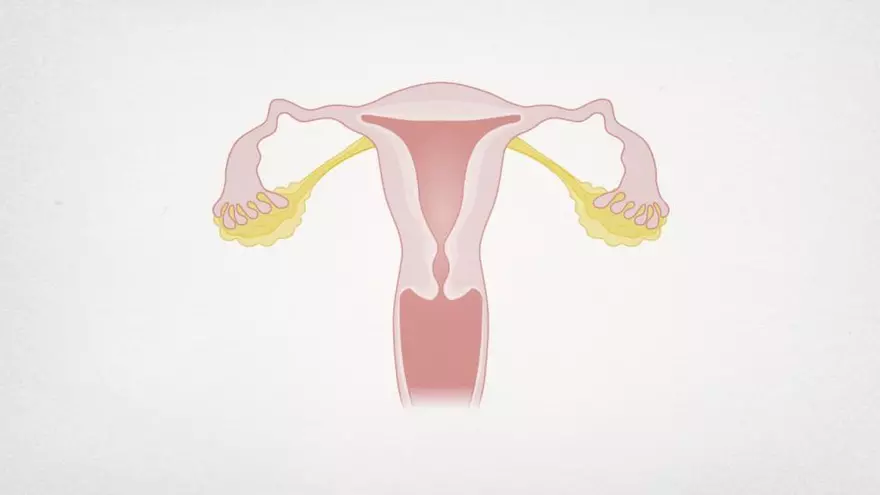 La fisioteràpia ajuda a reduir els símptomes de la menopausa