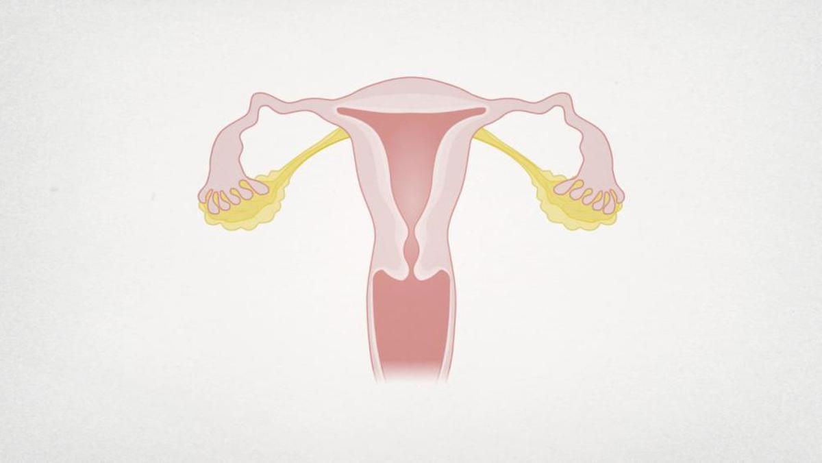 Els problemes de salut que provoca la menopausa