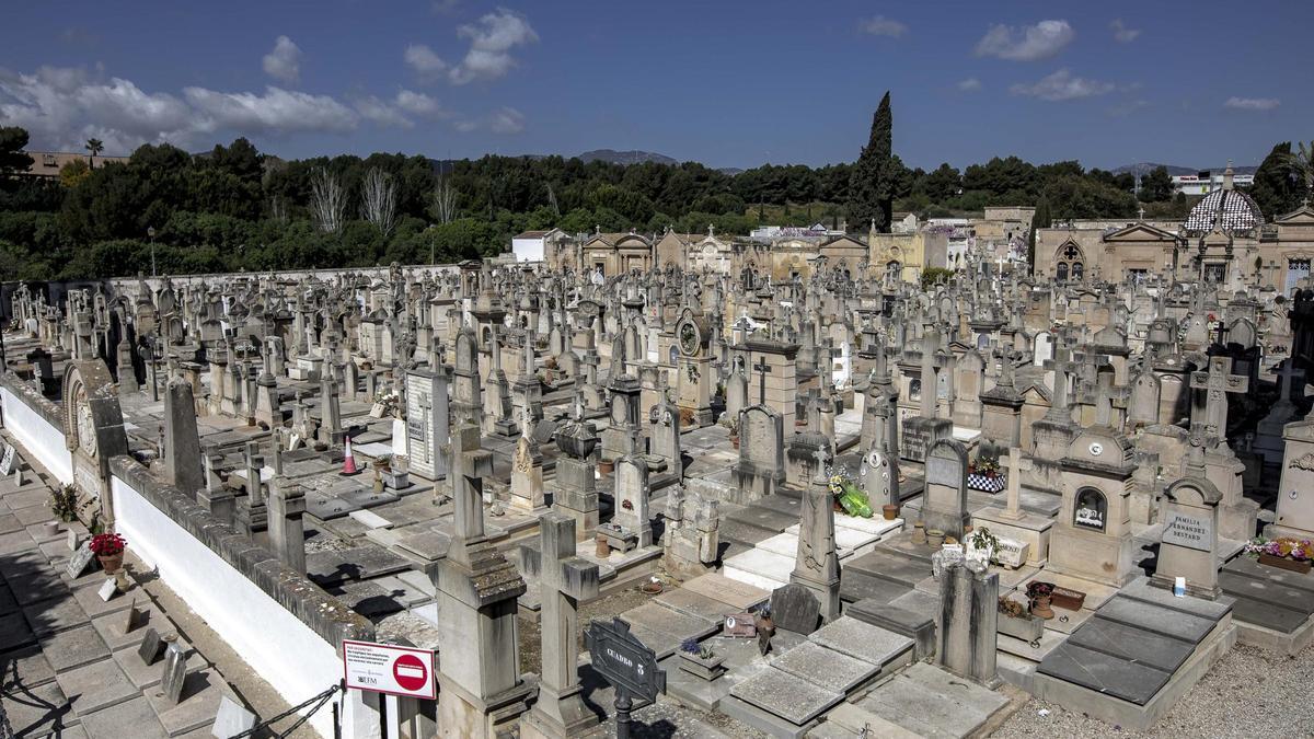 El cementerio de Palma se abre a visitas guiadas.