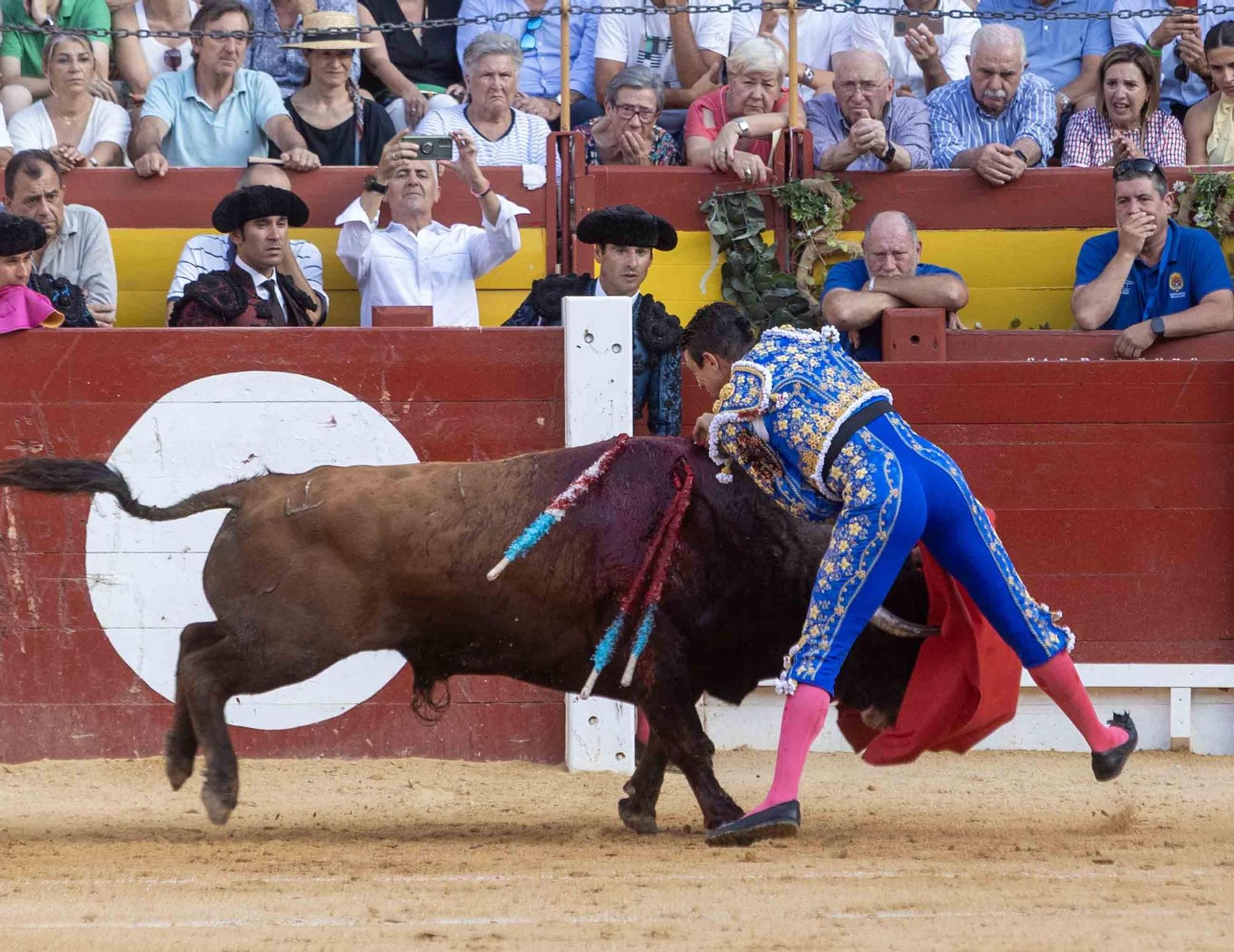 Manzanares culmina una de sus mejores tardes y sale a hombros en la Feria de Hogueras de Alicante 2025