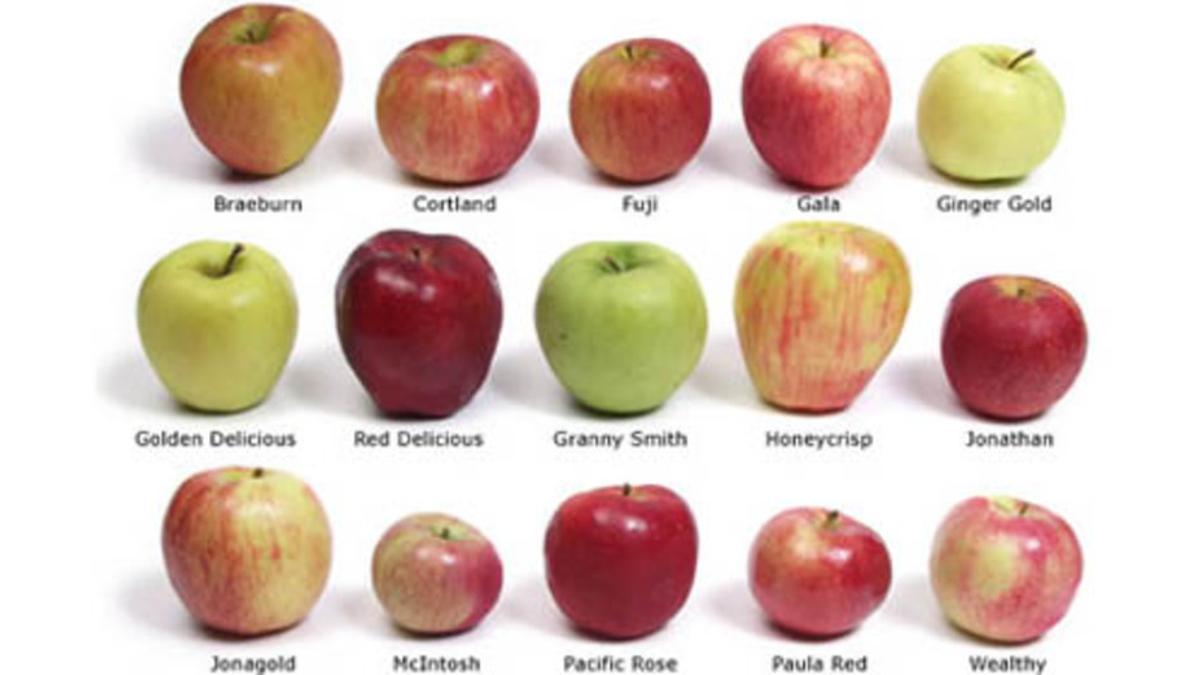 Tipos de manzana
