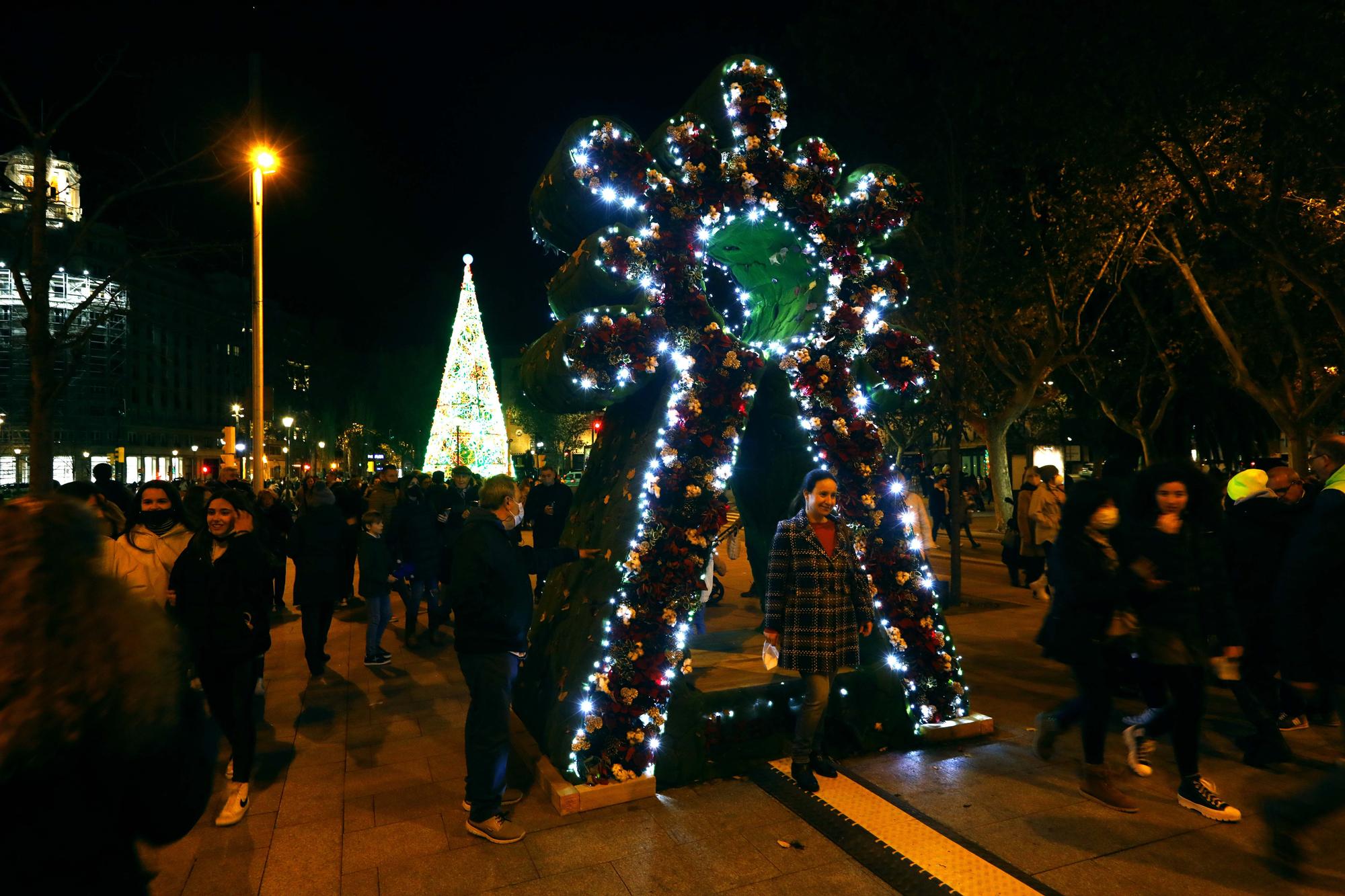 Zaragoza enciende la Navidad