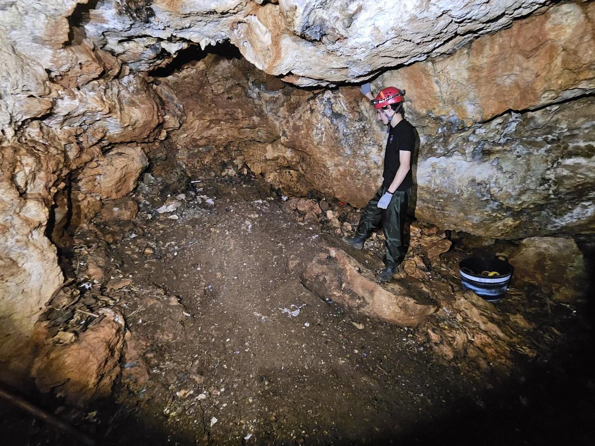 La cavidad, libre de basuras.