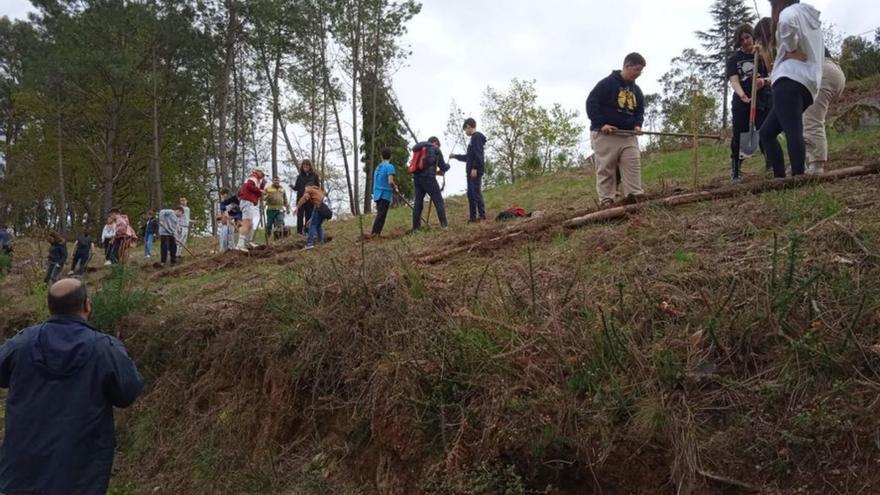 Alumnos de Salvaterra plantando as árbores.   | // D.P.