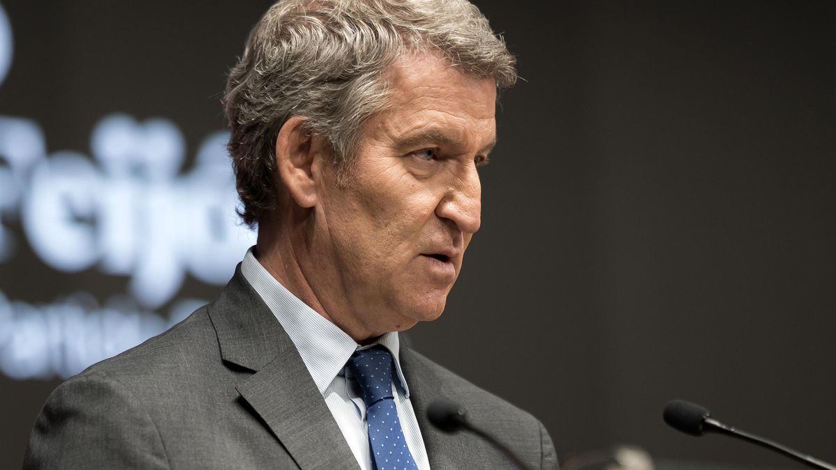 El líder del PP, Alberto Núñez Feijóo.