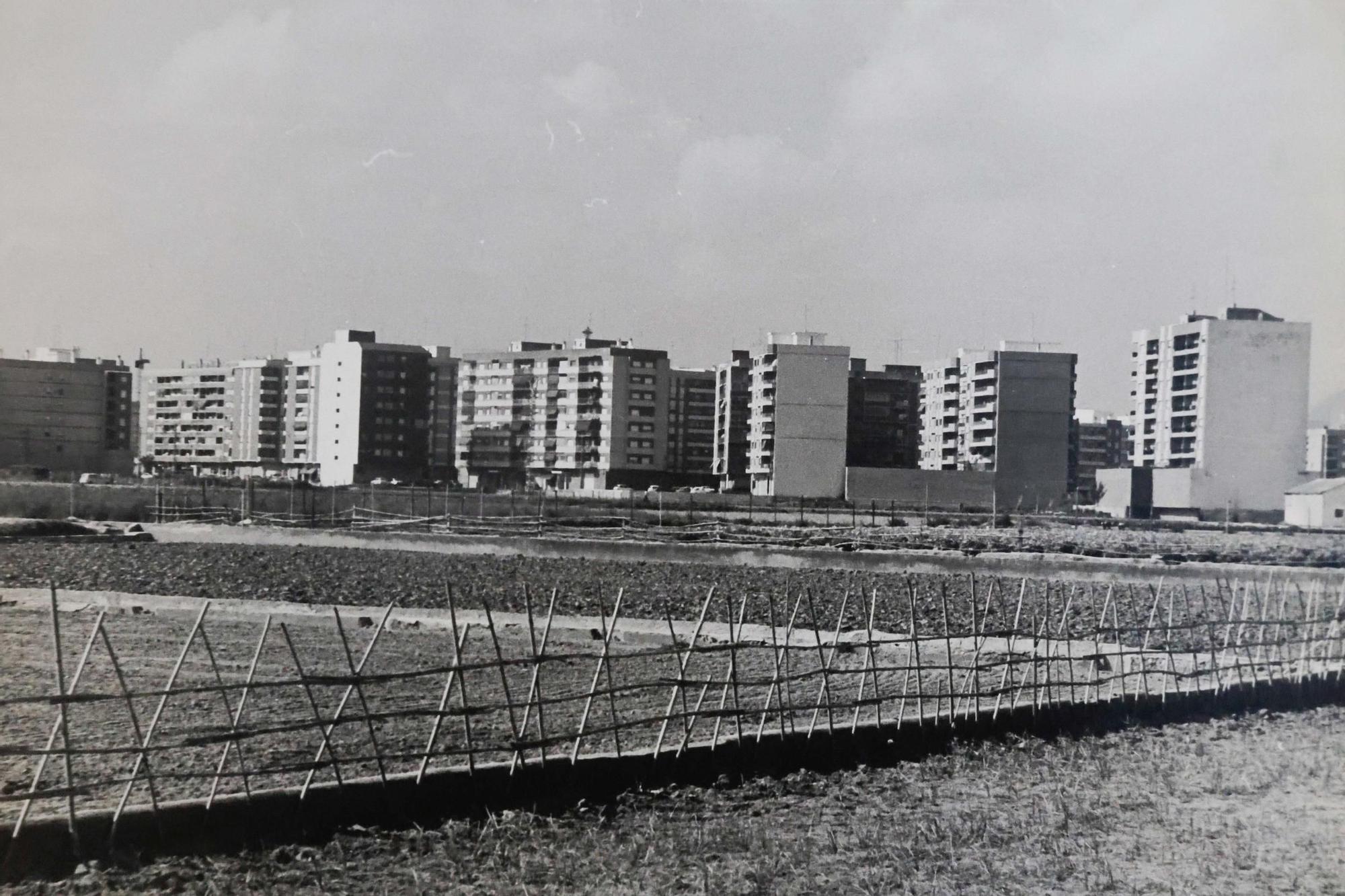 La Valencia desaparecida: Todo esto antes era huerta