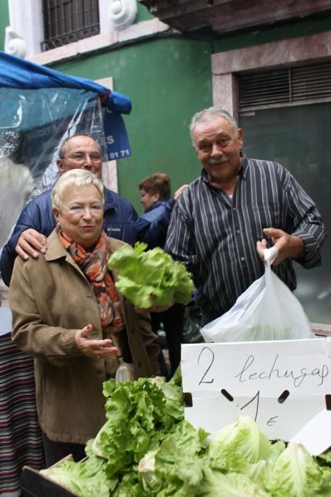 La Flor brota en Grado pese a la lluvia