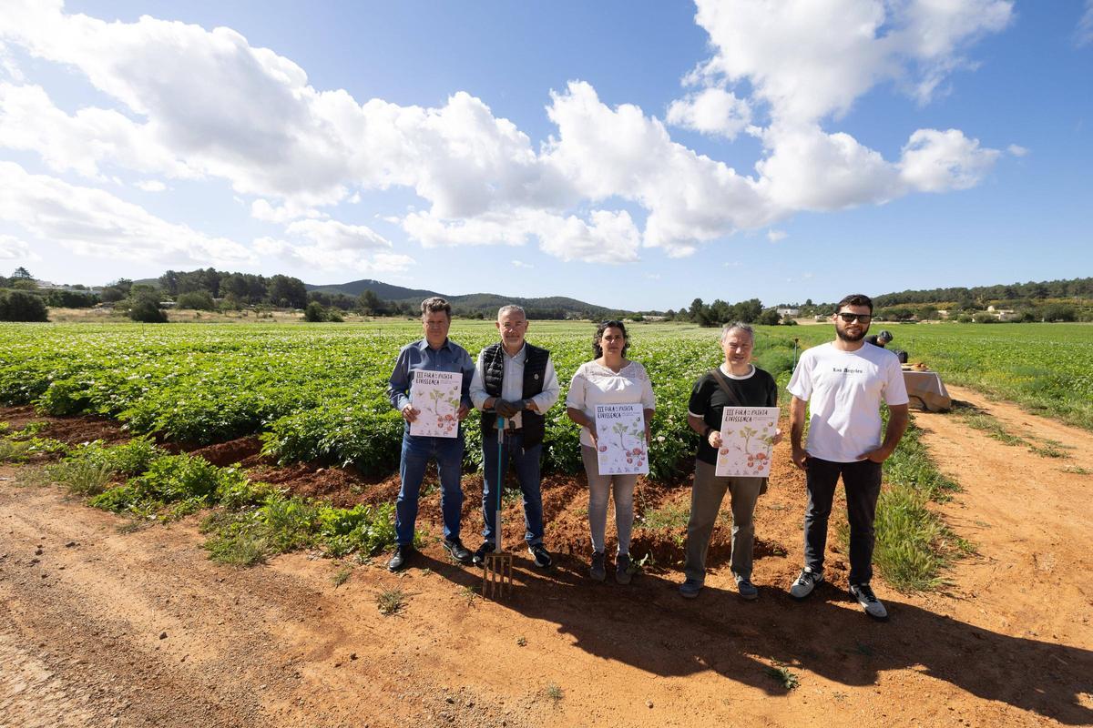 Un momento de la presentación de la nueva campaña de la patata ibicenca.