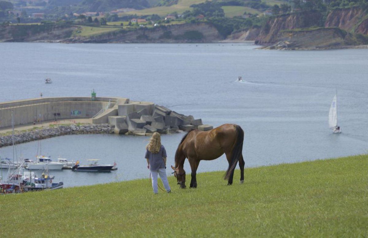 Jinetes con vistas al mar