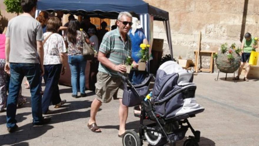 Reparto de flores en Santo Domingo con motivo del Día Mundial del Medio Ambiente