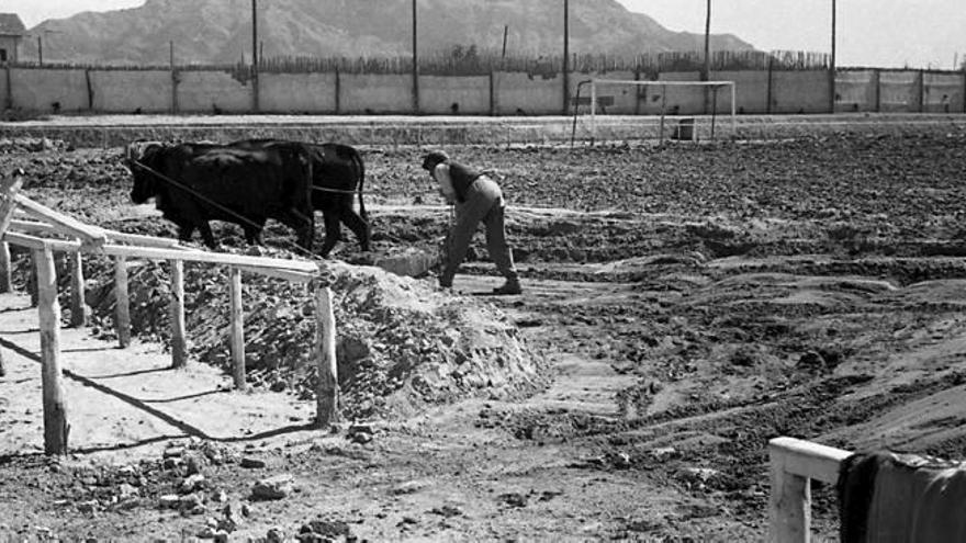 Limpieza del terreno de juego de Los Arcos después de la riada de 1946.