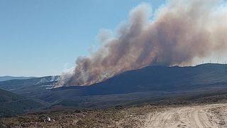 Un incendio en Calabor obliga a movilizar medios de extinción de la Junta