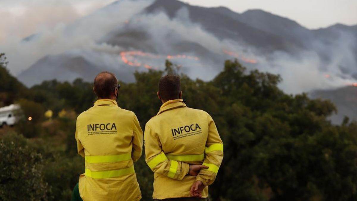 Las imágenes del incendio en Sierra Bermeja.