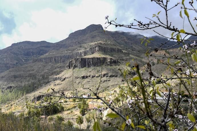 GRAN CANARIA 26-01-2019  SANTA LUCIA DE TIRAJANA-SAN BARTOLOME DE TIRAJANA. Fotos al macizo de Amurga. Fotos a los terrenos de la familia de Román comprados por el Cabildo.  FOTOS: JUAN CASTRO