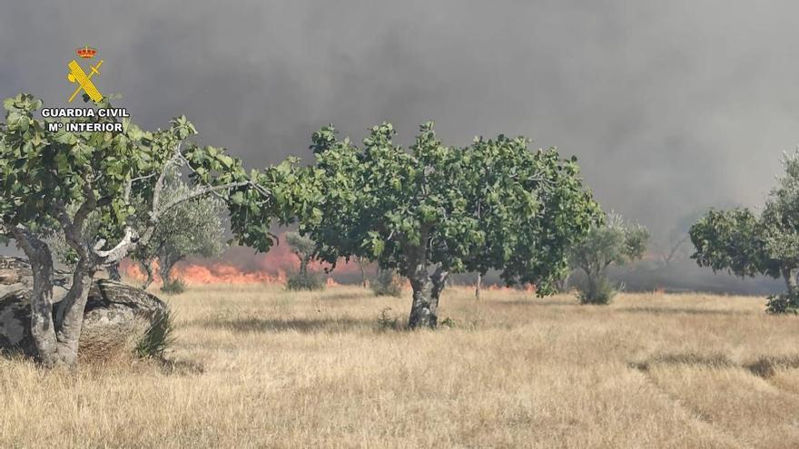 Desalojan una vivienda por un incendio forestal de nivel 1 en Arroyo de la Luz