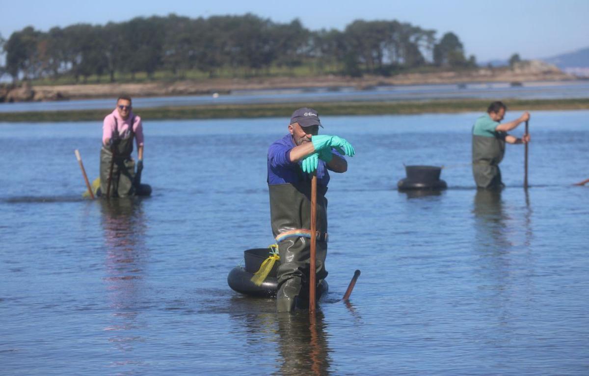 El marisqueo cierra un trimestre para la esperanza: 180 toneladas de bivalvos