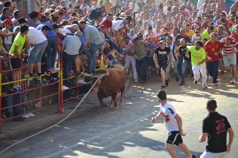 La carrera del Toro Enmaromado 2017 Razonador