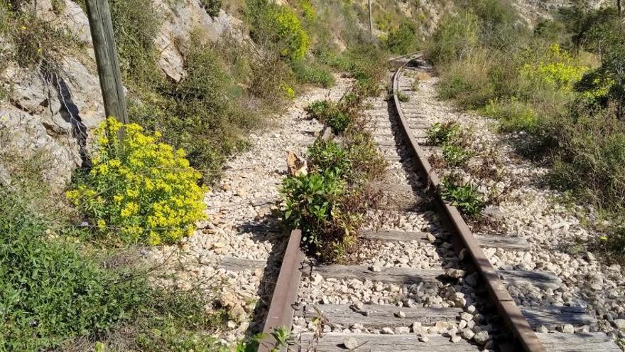 Una imagen de un túnel del tramo entre Teulada y Gata de Gorgos, donde la maleza ya se adueña de la vía.