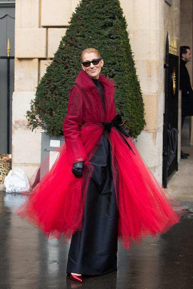 Celine Dion posando para los fotógrafos en París