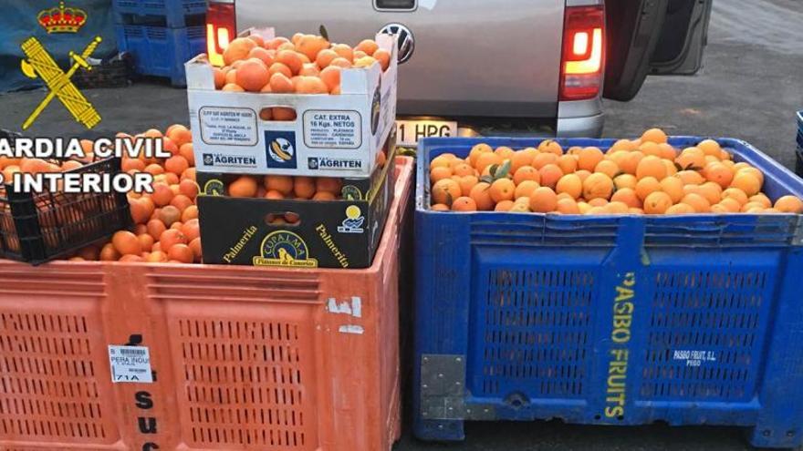 Ocho detenidos y otros 9 investigados por «blanquear» 191 toneladas  de naranjas