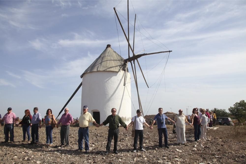 Molinos en Peligro de Extinción