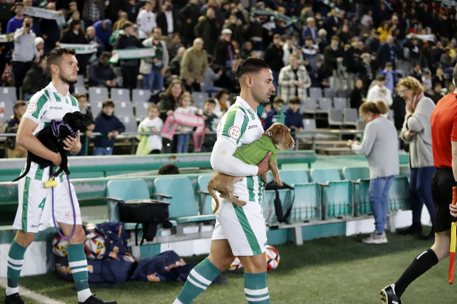 Córdoba CF-Castellón: las imágenes del partido en El Arcángel