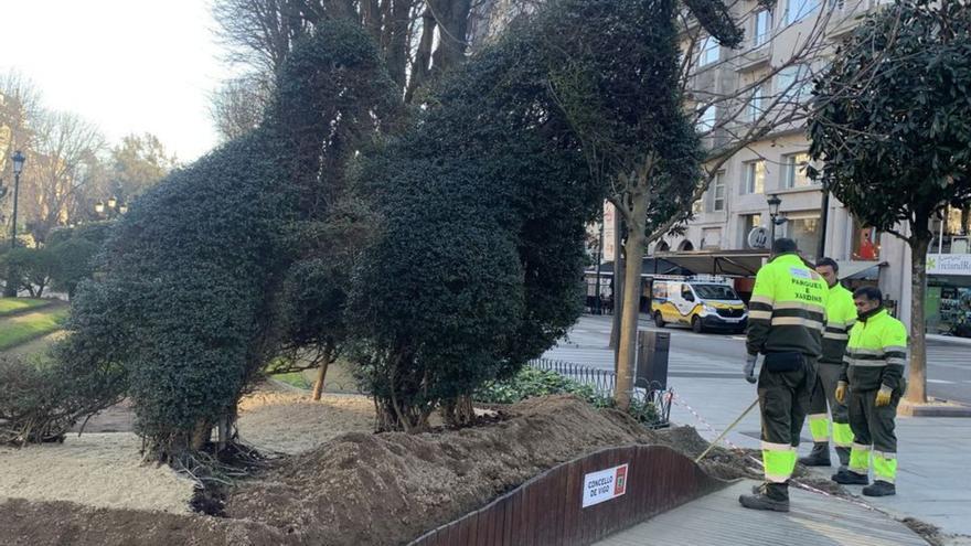 El Concello repara y replanta la tarima del Dinoseto en la Plaza de Compostela