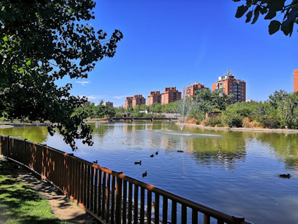 El Lago Loranca cuenta con dos lagunas artificiales y es conocido por ser un lugar de avistamiento de aves acuáticas