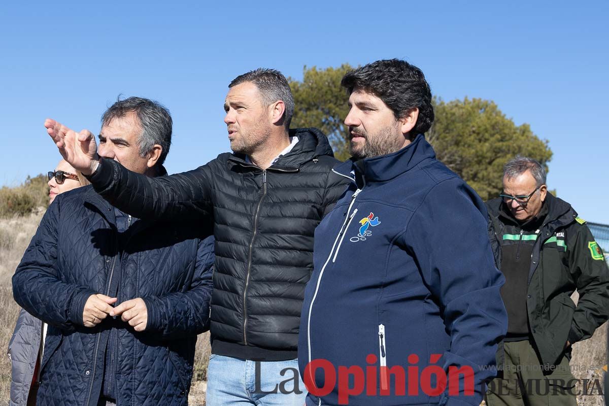 Suelta de dos buitres leonados en la Sierra de Mojantes en Caravaca