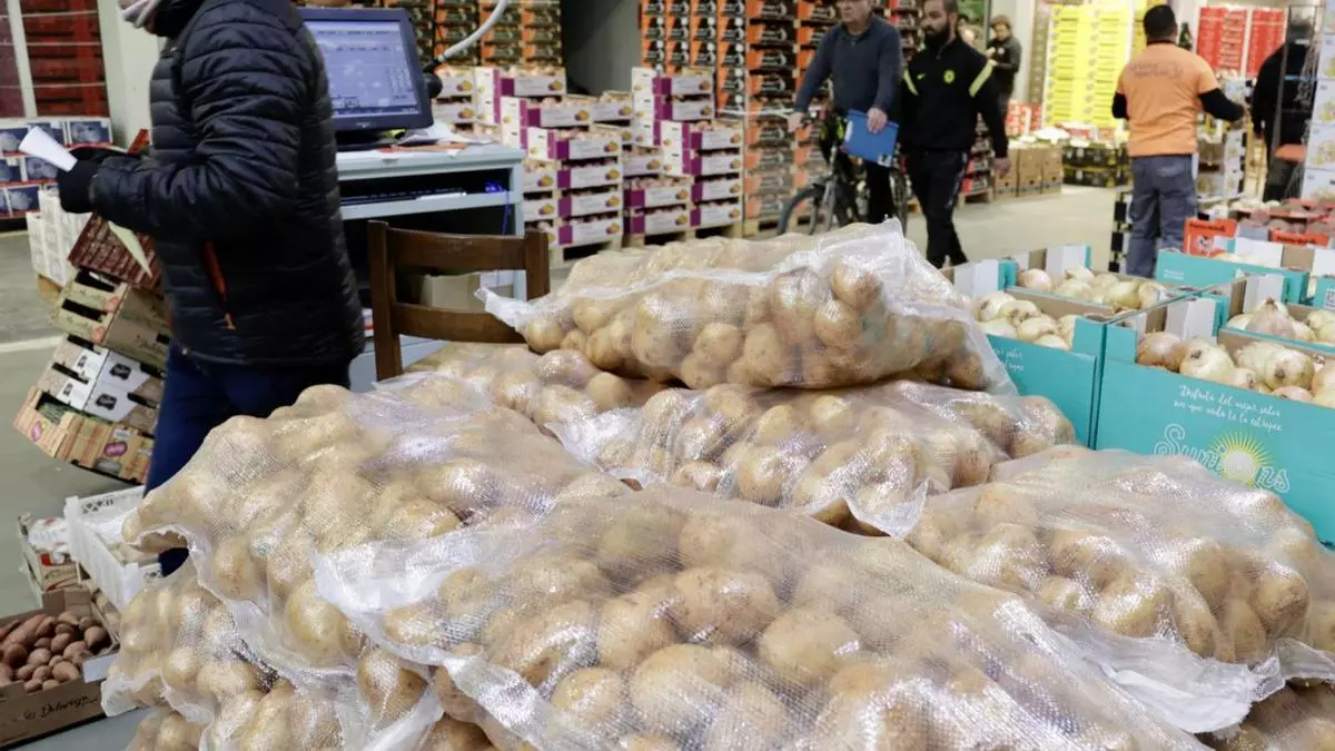 Mercabarna cerró el ejercicio de 2024 con un beneficio de 11,6 millones, un 5,7% más que el anterior