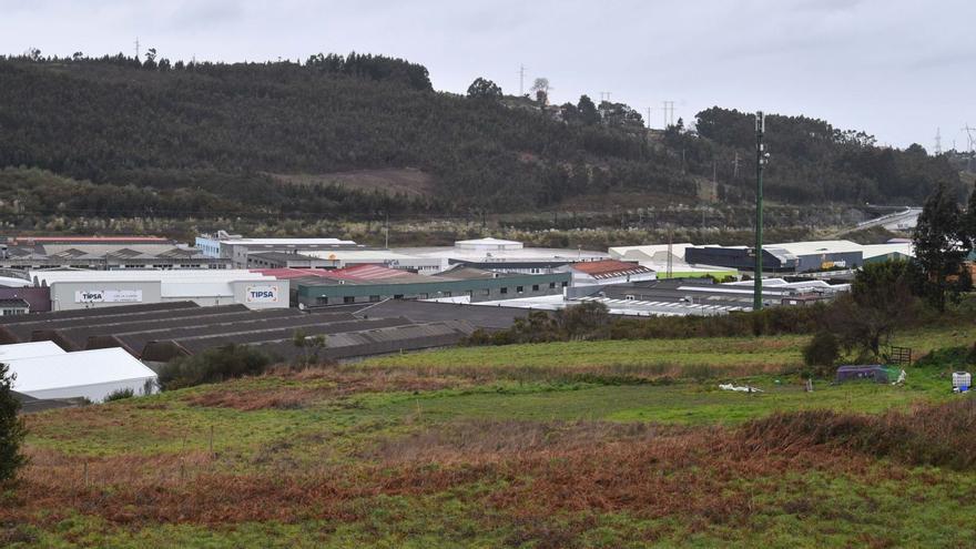 Las zonas verdes por vecino de A Coruña están un 31% por debajo del objetivo del plan general tras 10 años