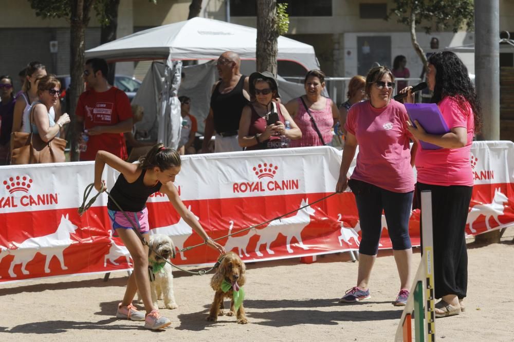 Fira Animalista de Salt