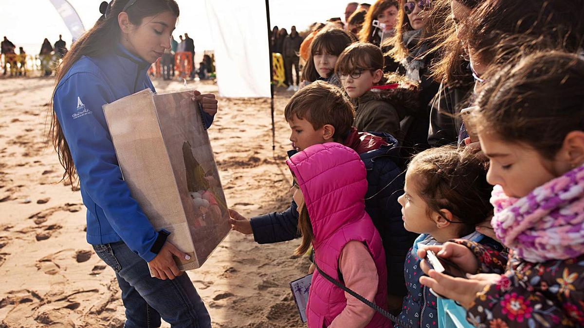 Una de les activitats programades pels amics de l’Oceanogràfic. | LEVANTE-EMV