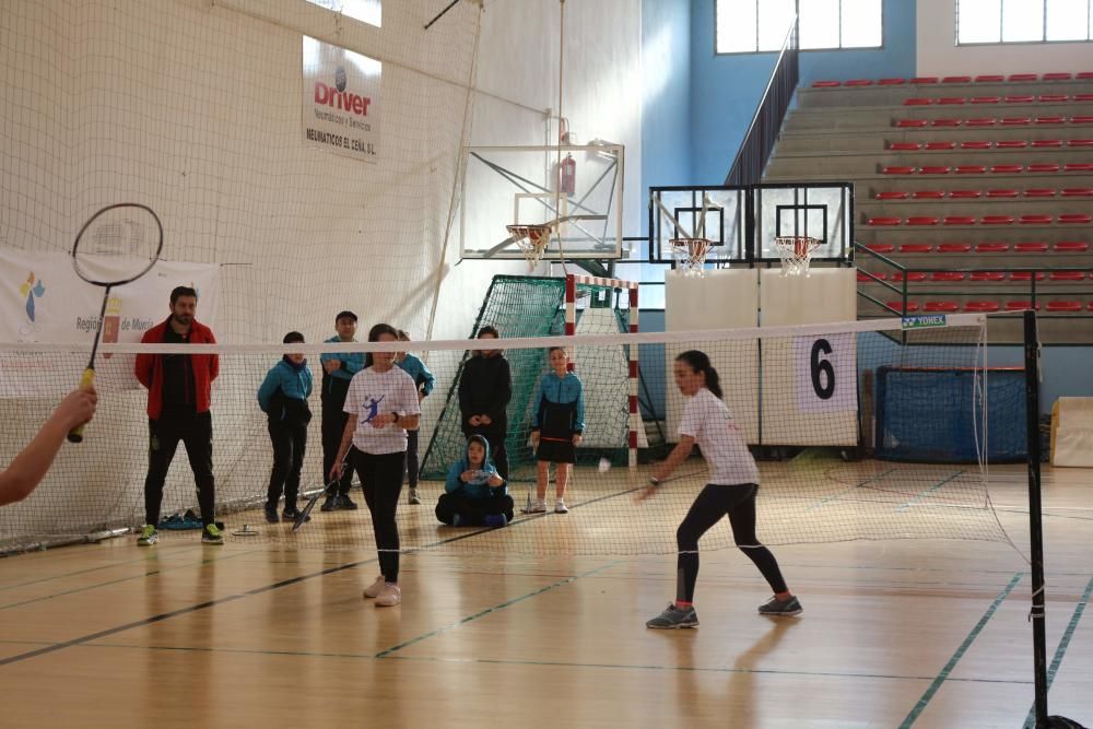 Final Regional de bádminton de Deporte Escolar