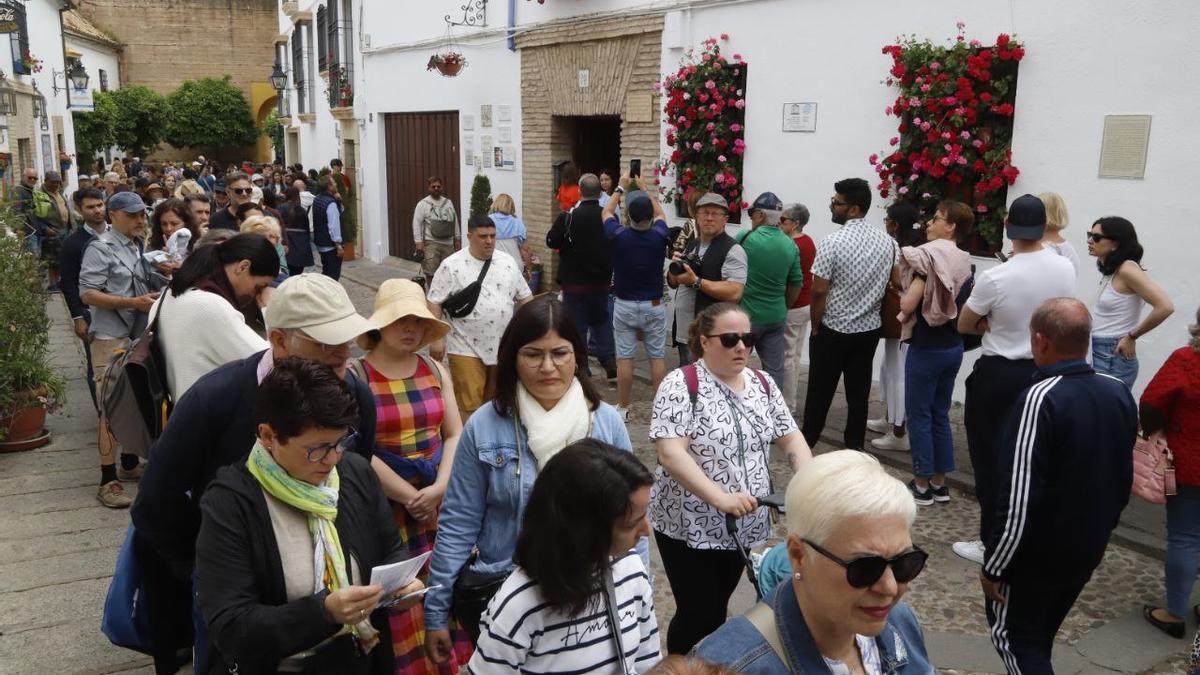 Comienza la Fiesta de los Patios de Córdoba