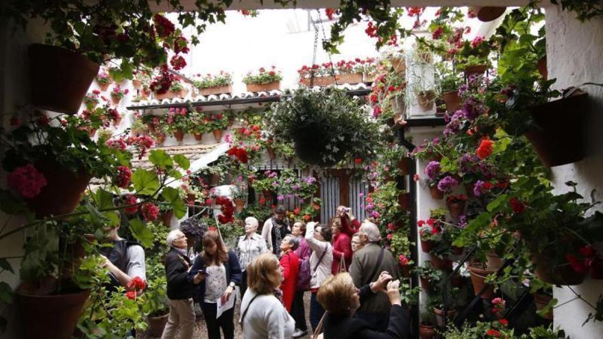 5 patios del Alcázar Viejo abrirán gratis a los cordobeses el día de San Rafael