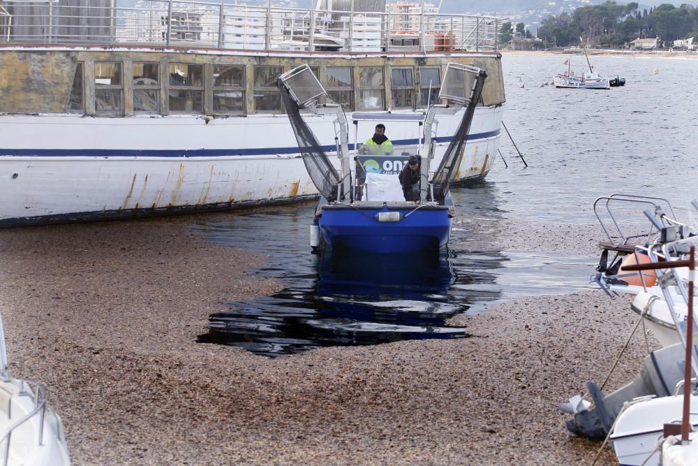 Tasques per retirar la biomassa al port de Palamós