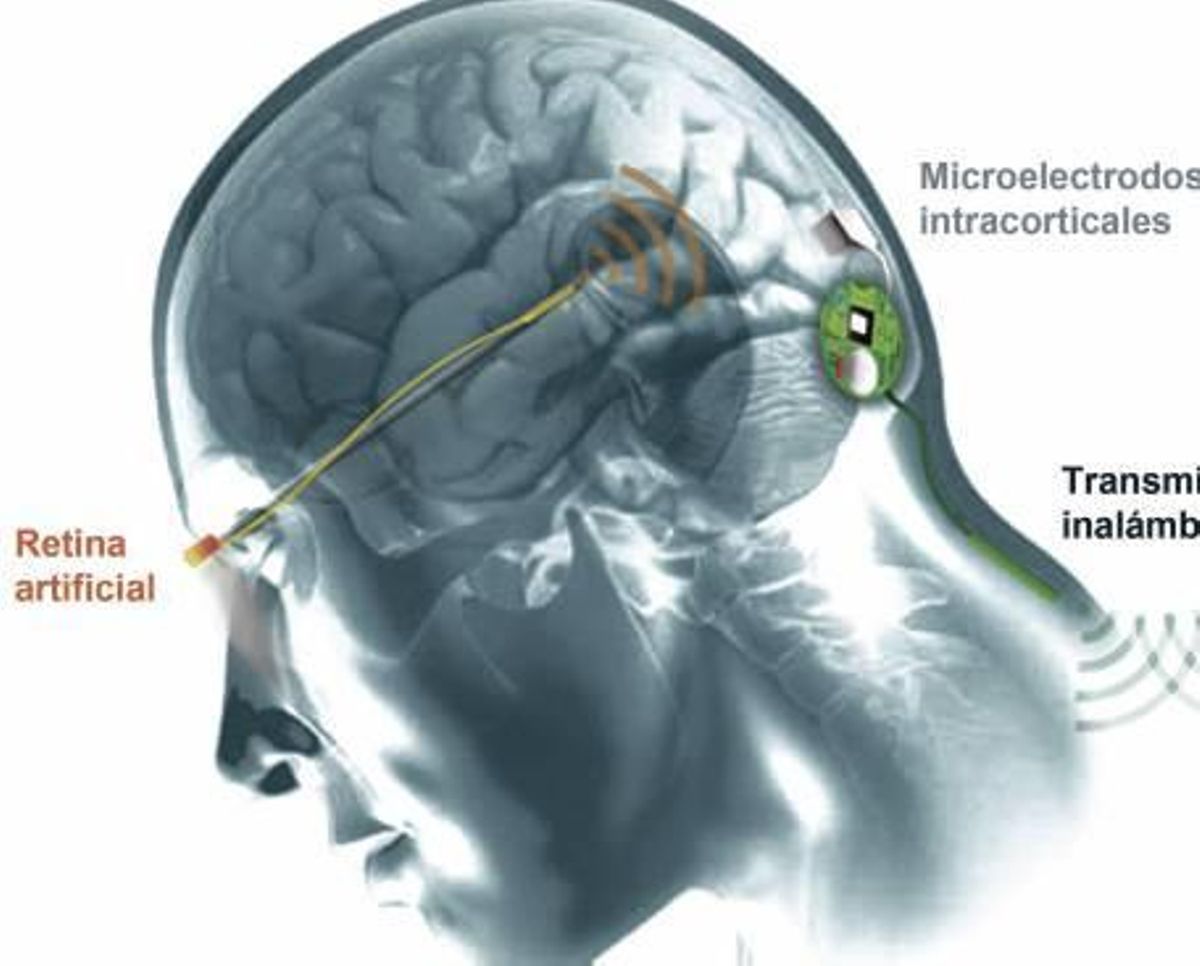 La UMH comienza a probar con humanos un sistema de visión artificial para ciegos