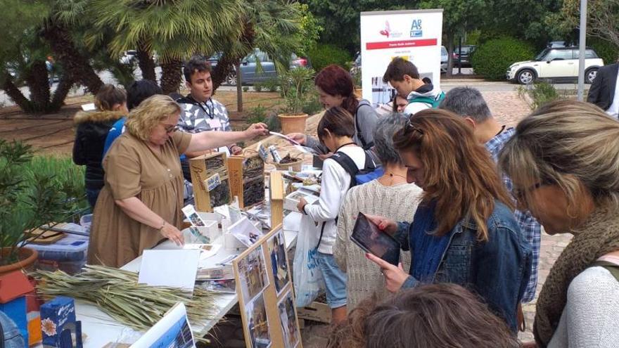 Los centros escolares encaran el nuevo «desafío ambiental»