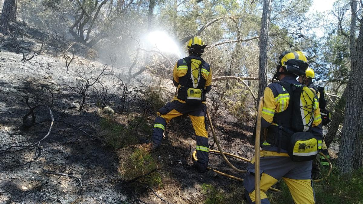 Einsatzkräfte der balearischen Naturschutzbehörde Ibanat beim Löschen der Flammen in Felanitx.