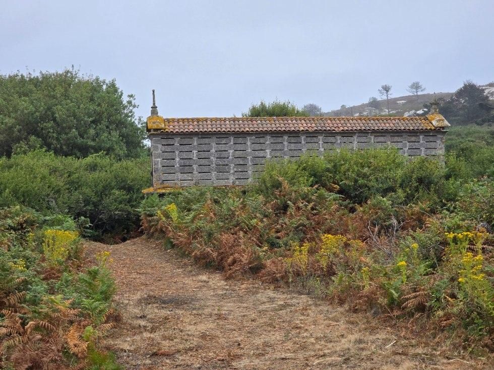 La isla de Sálvora, una de las joyas del Parque Nacional de las Islas Atlánticas de Galicia.