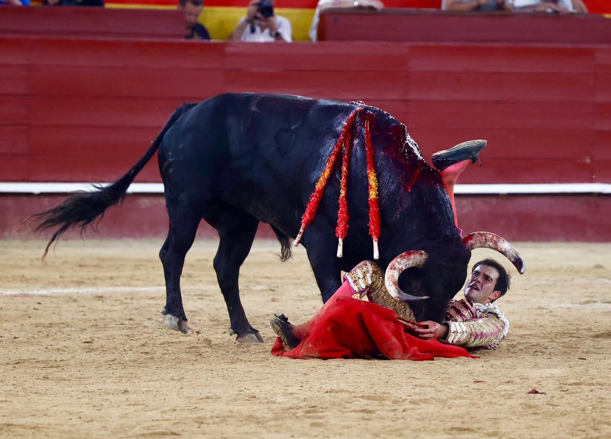 Samuel Navalón conquista su segunda puerta grande consecutiva en Valencia durante la Feria de Julio