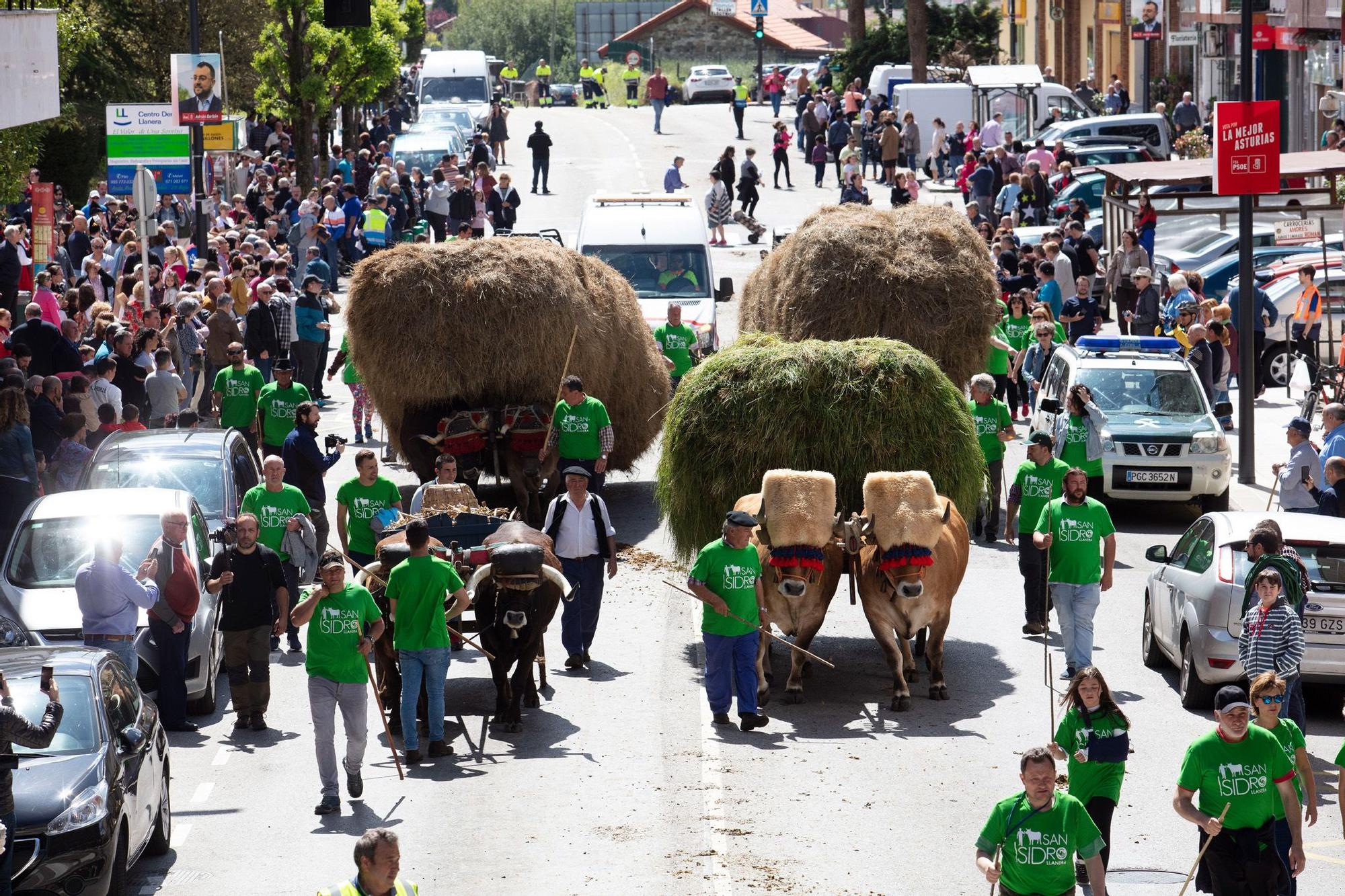 Regresa el espectacular desfile de carros y reses a Posada: Llanera ya organiza la cita de este año