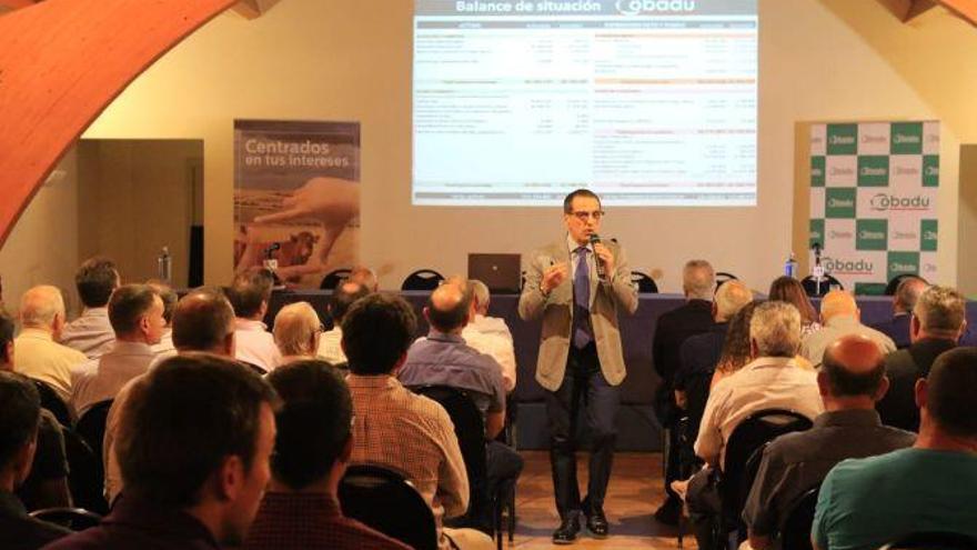 Fernando Antúnez, director financiero de Cobadu, explica a la asamblea el balance de 2018 antes de su aprobación.