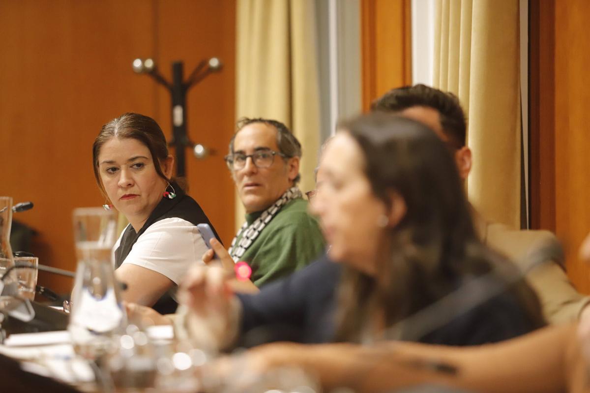 A.J.González Córdoba Pleno del Ayuntamiento