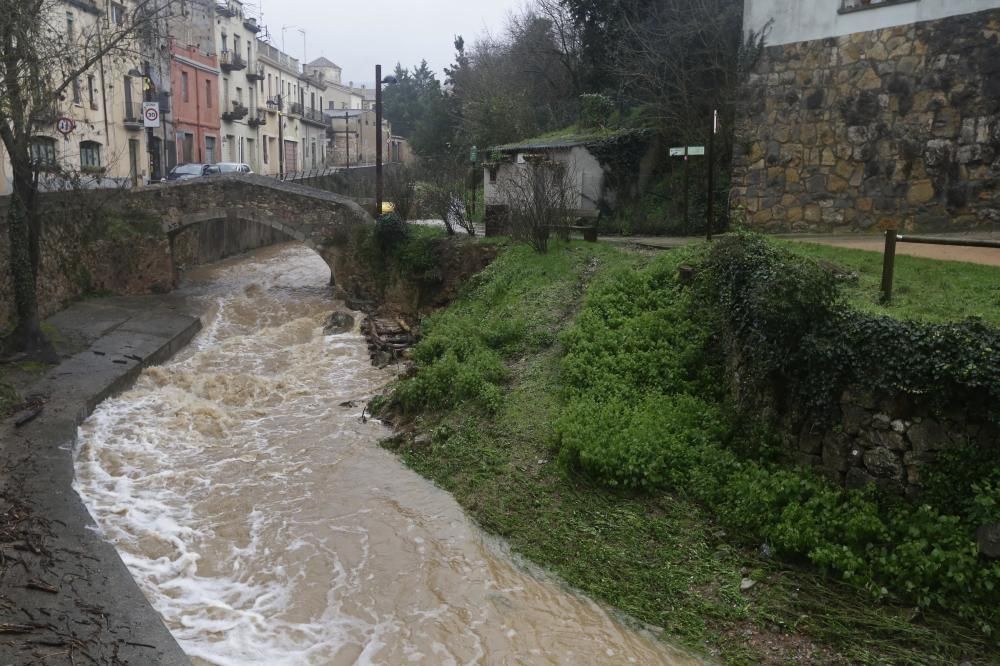 El riu Galligants, al seu pas per Girona