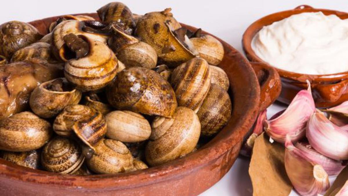 Lecker Schnecken mit Aioli essen im Arco Iris.