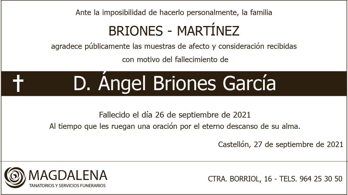 D. Ángel Briones García