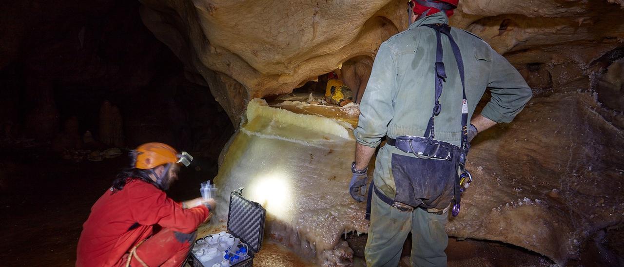 El equipo de investigación, en la Cueva de la Maravilla Blanca en 2022, junto a una de las estegamitas.